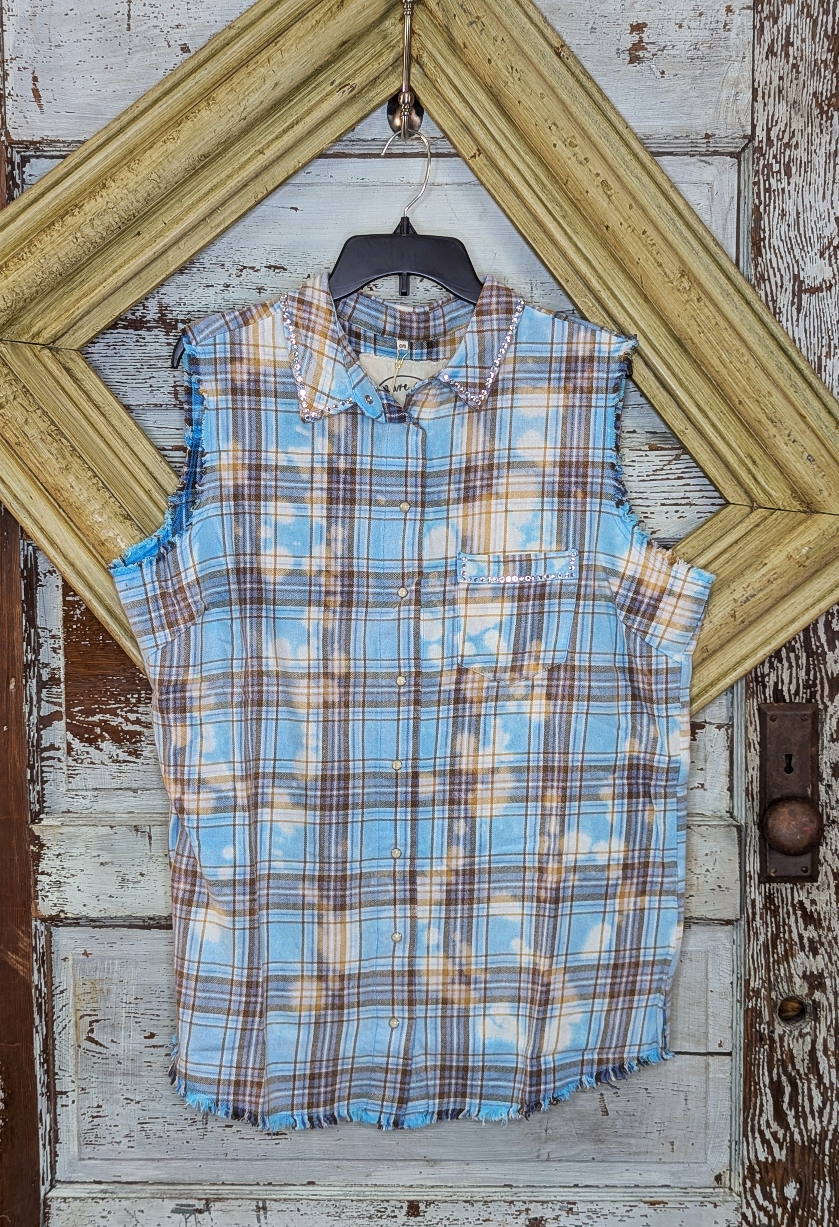 A Rare Bird Blue Plaid Vest