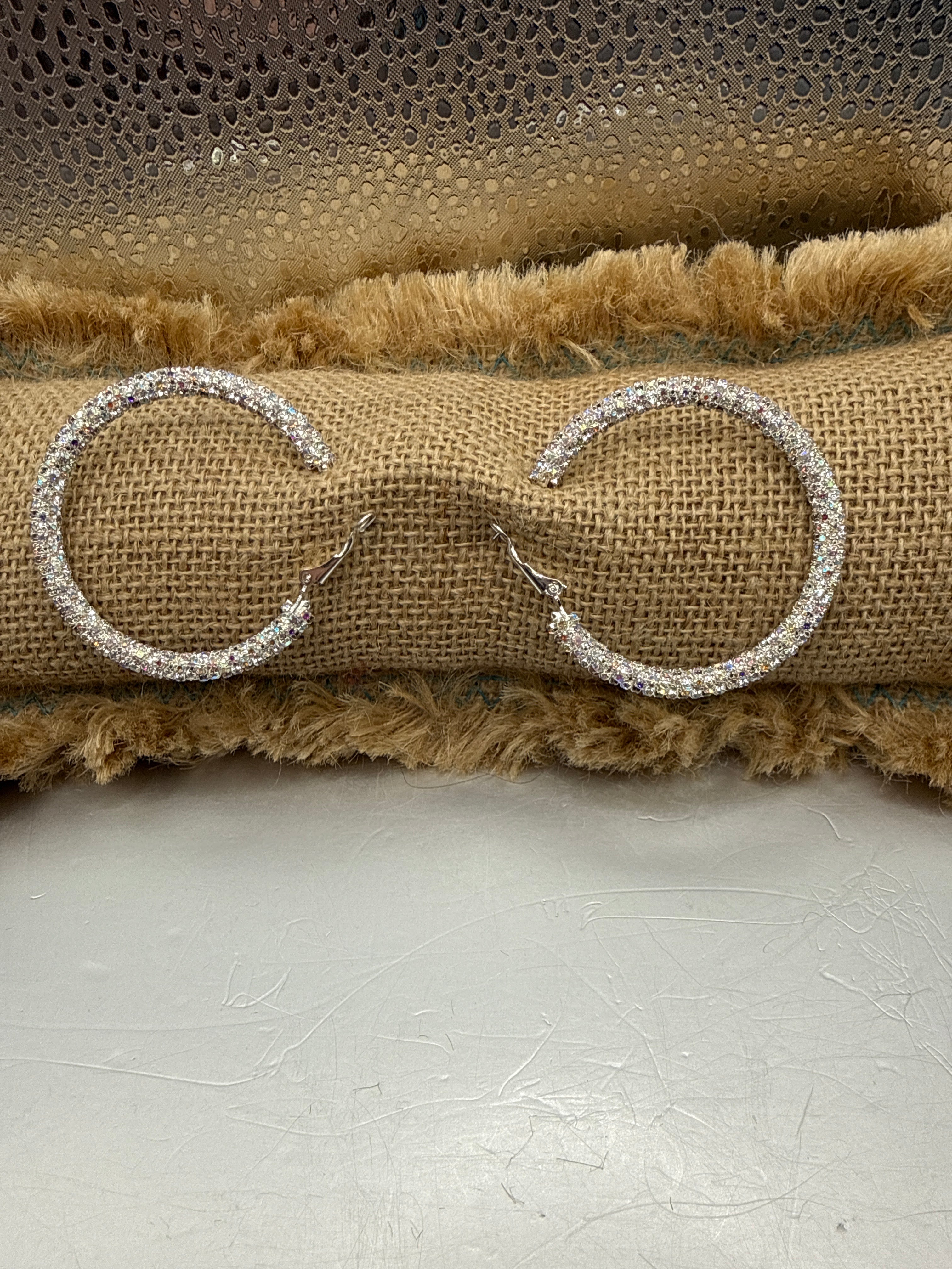 Alice Crystsl full hoop Earrings