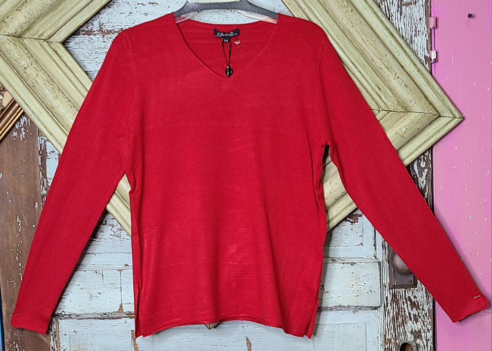 Cranberry V-neck Plushy Basic Sweater