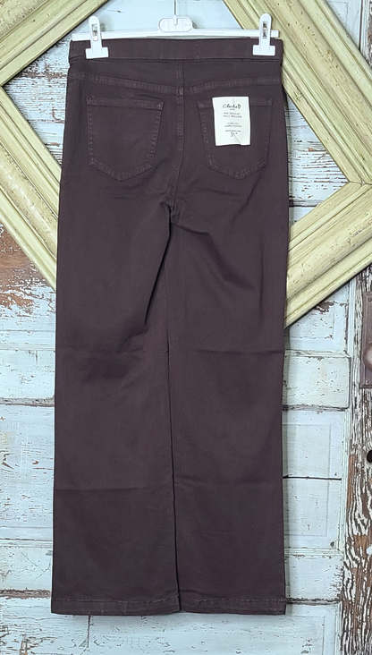 Mocha Pull on Flare Leg Pant with Front Button