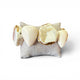 alice Resin ivory Bracelet