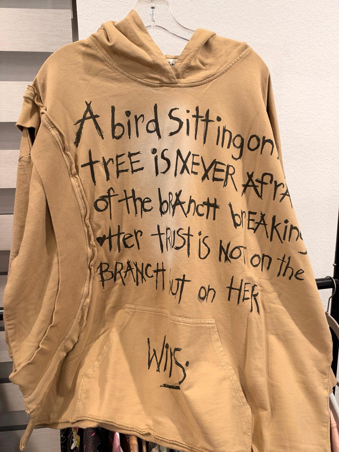 A Rare Bird Borrowed Wings Hoodie