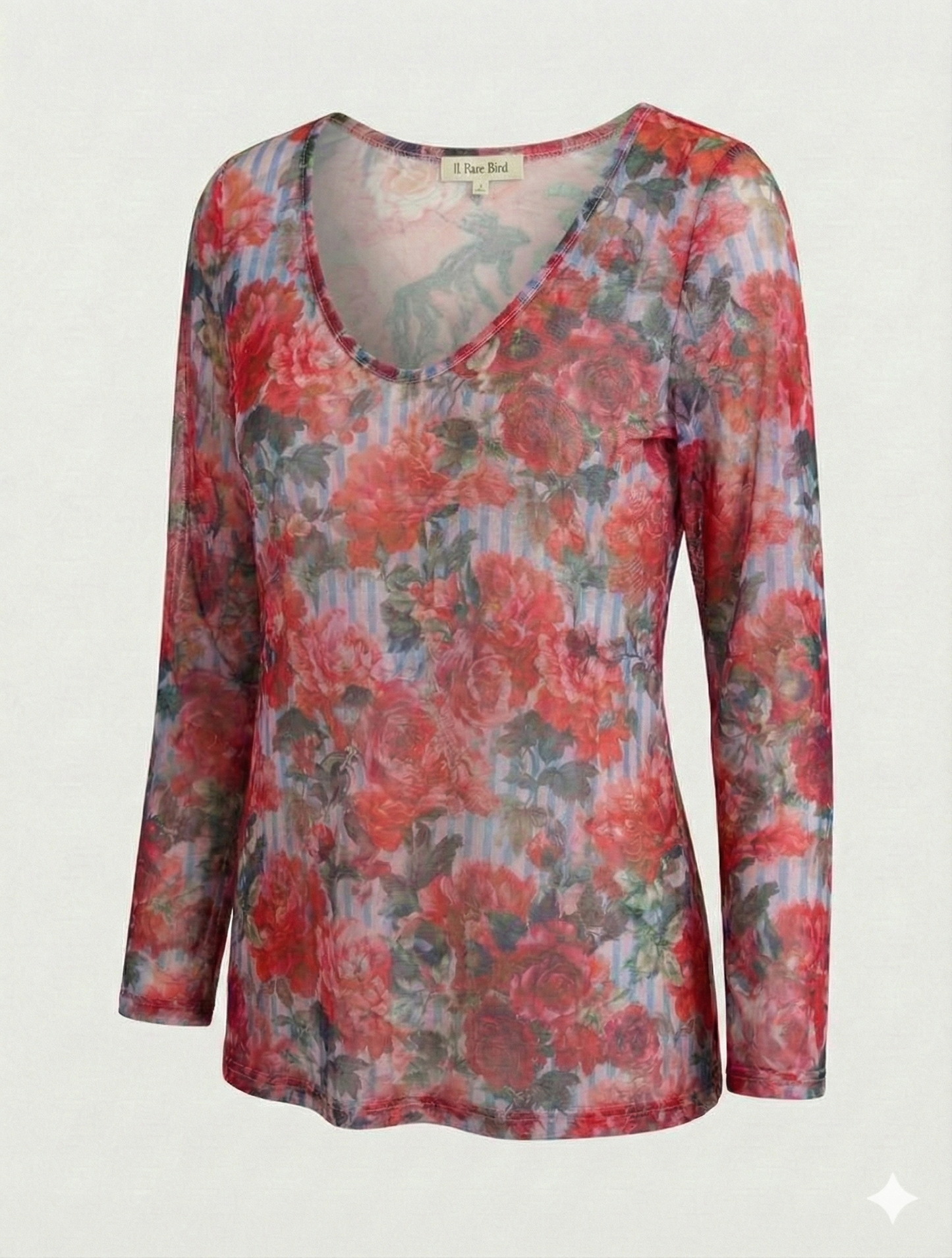 A rare bird mesh Top