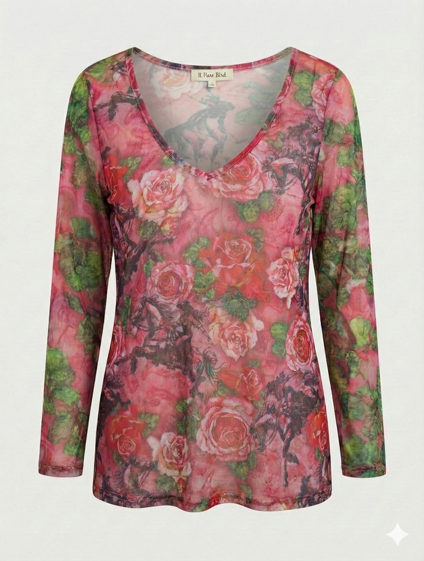 A rare bird mesh Top