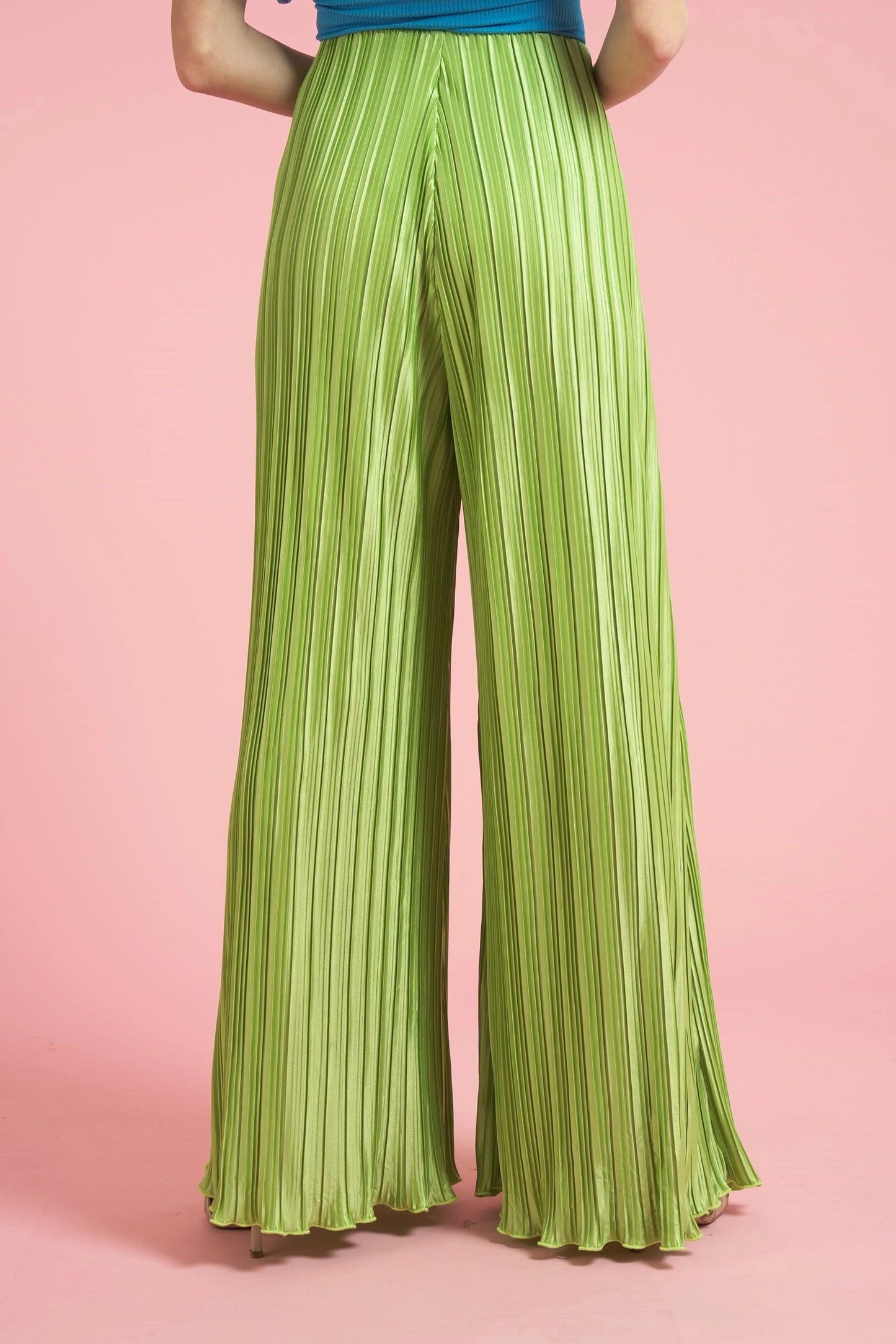 Wide Leg Pleated Pants