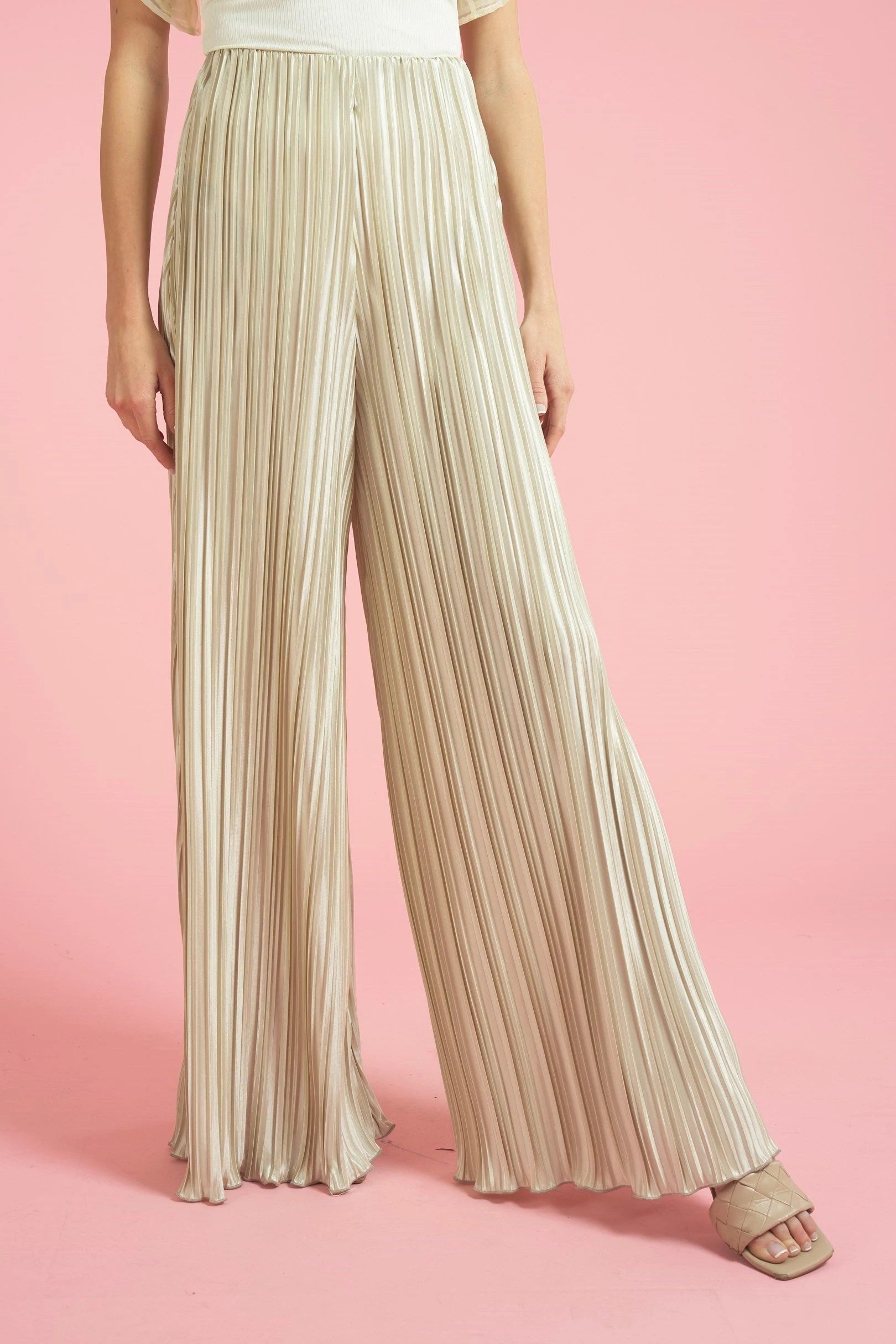 Wide Leg Pleated Pants – Felecia Bella
