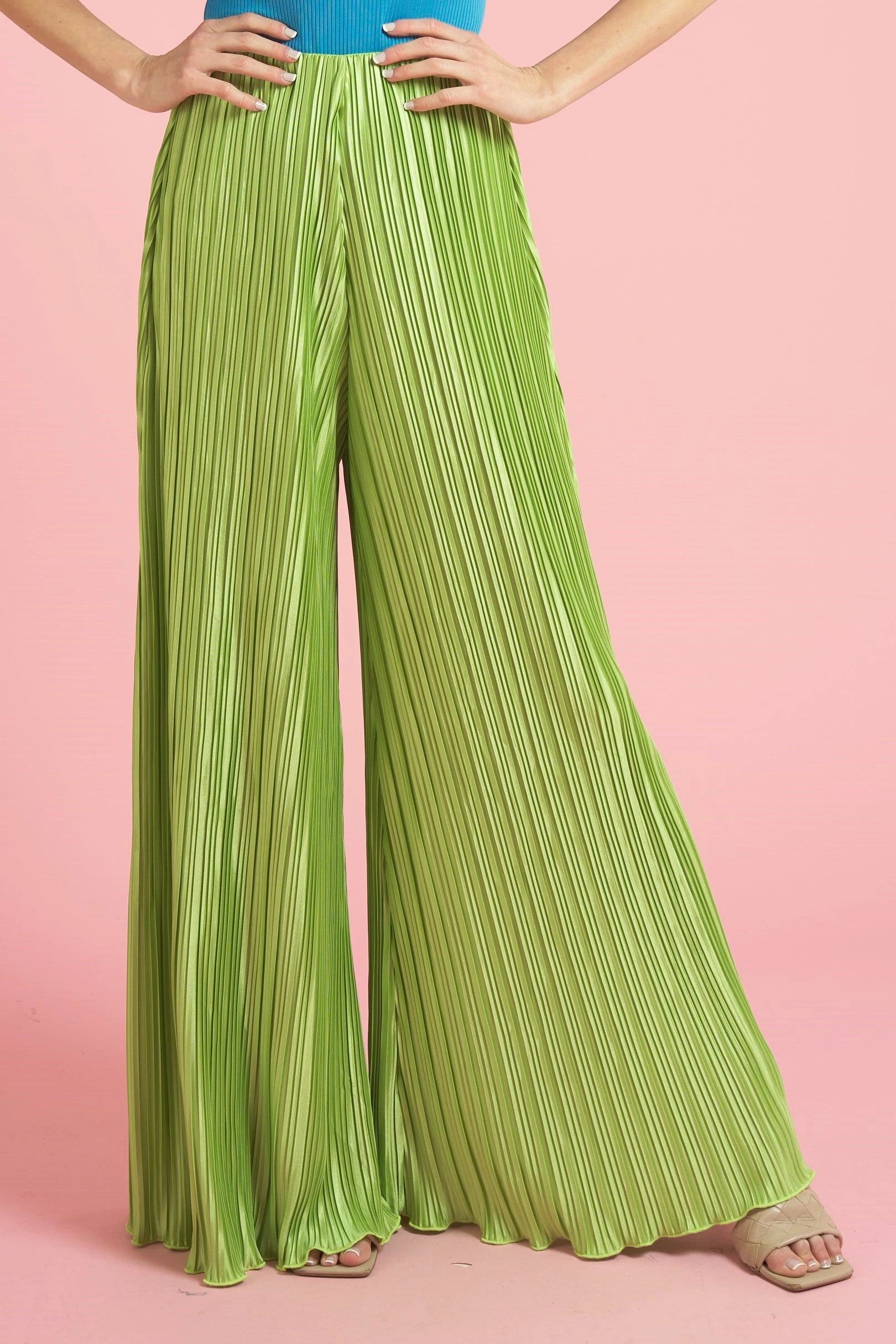 Wide Leg Pleated Pants – Felecia Bella