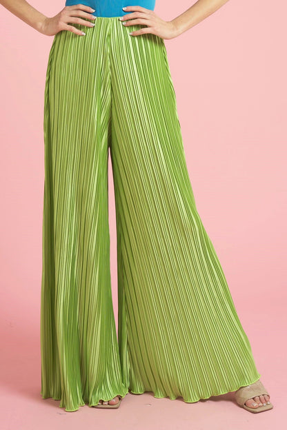 Wide Leg Pleated Pants