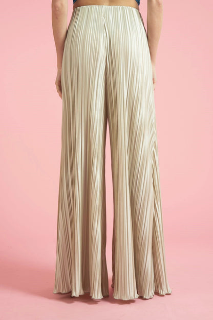 Wide Leg Pleated Pants